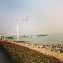 ͨ
