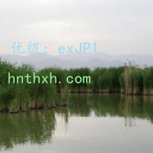 ۼ
